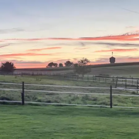 Stylish With * デュルビュイ