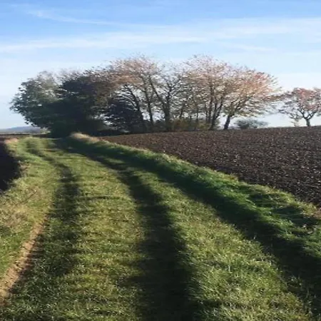 Stylish With シャレー