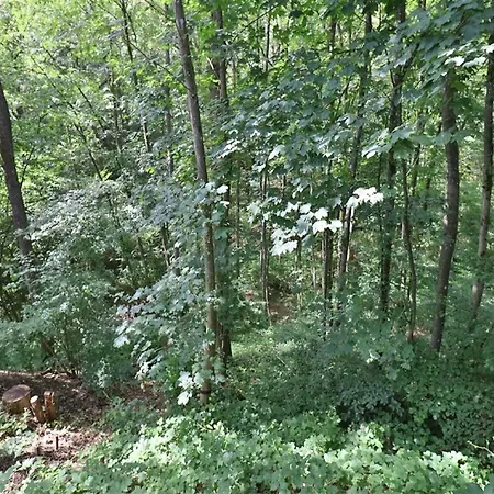 Stylish With בקתה *