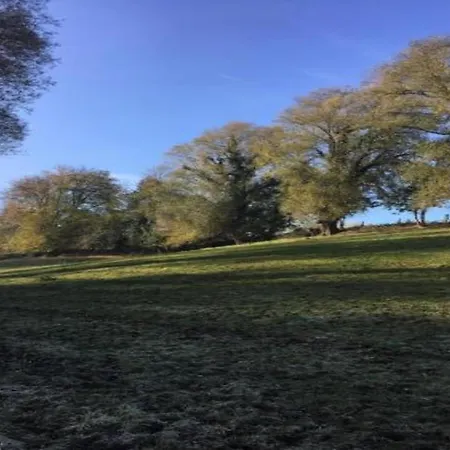 Stylish With シャレー デュルビュイ