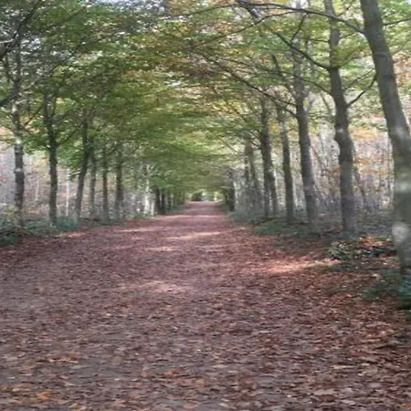 בקתה Stylish With דורבורי