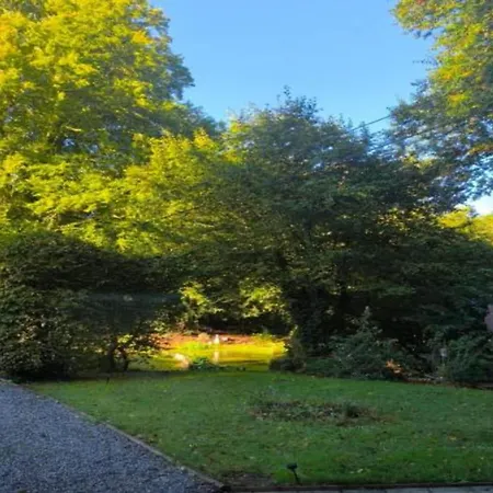 Stylish With * דורבורי